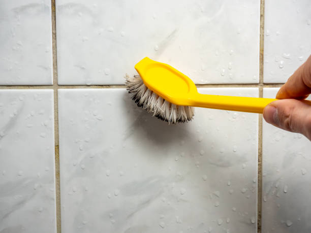 Best Local Mold Removal Service  in Wrightsboro, NC