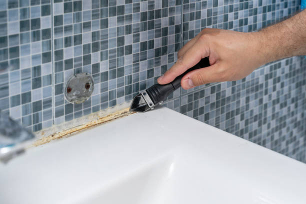 Best Professional Mold Removal  in Wrightsboro, NC